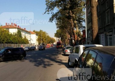 Премахват изсъхналите клони на чинарите по бул Васил Априлов разположени