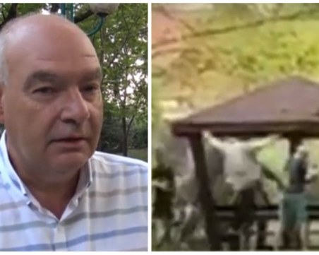 Психиатър нарече цинизъм гаврата с мъж в пловдивски парк