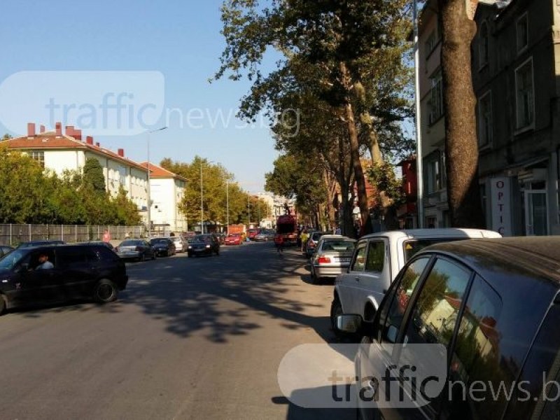 Премахват изсъхналите клони на чинарите по бул. Васил Априлов“, разположени