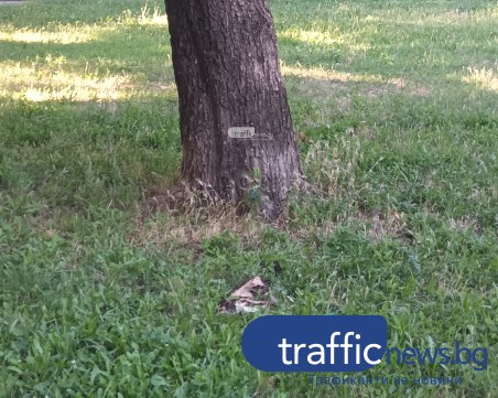 Системно! Умишленото тровене на животни в