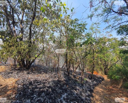 Пожарът в Свиленградско унищожи 3000 дка гора