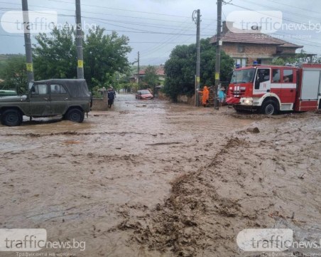 Първите резултати в района на Карлово показват незначителен обем сеч