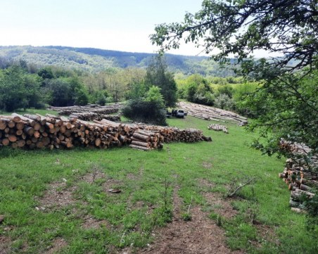 Как да разпознаем дали камион превозва незаконно отсечена дървесина? Само с три стъпки!