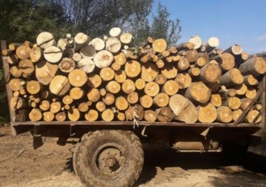 Горски служители от Държавно горско стопанство Дупница задържаха автомобил