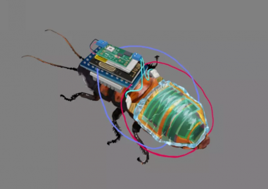 Изследователи от института RIKEN в Япония създадоха хлебарки киборги с дистанционно