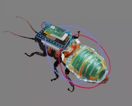 Пращат хлебарки-киборги на опасни мисии