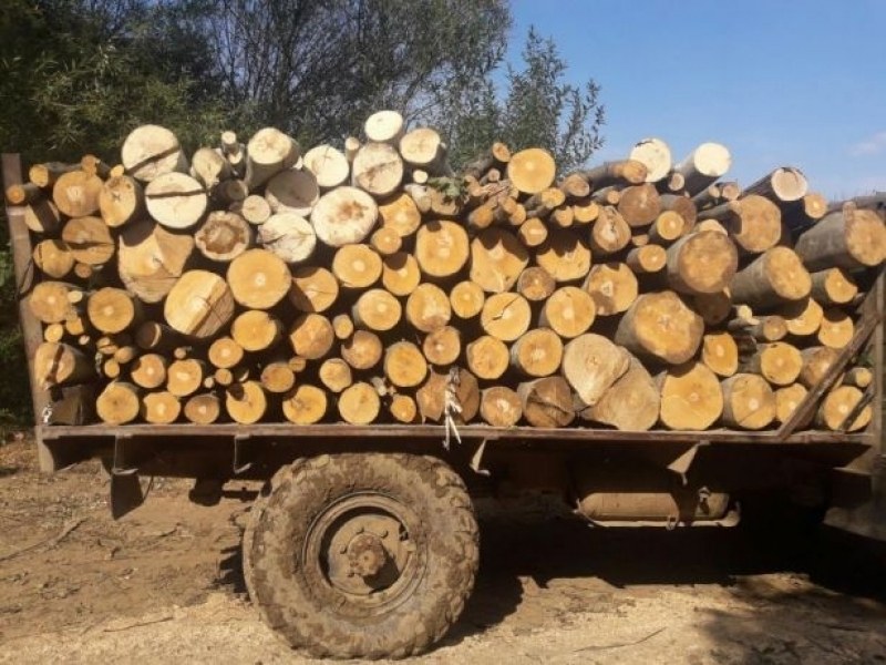 Горски служители от Държавно горско стопанство - Дупница задържаха автомобил