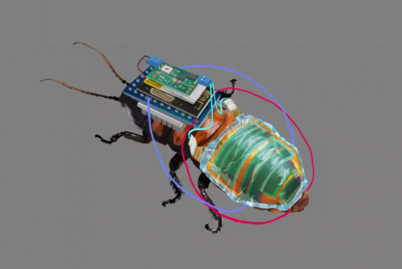 Пращат хлебарки-киборги на опасни мисии