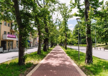 Дневните температури в Пловдив ще се повишат и отново ще