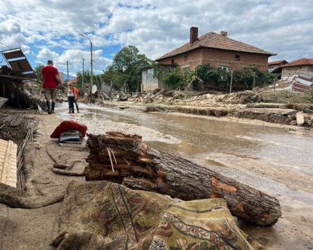 Има данни за нарушения при сечта в Карловско