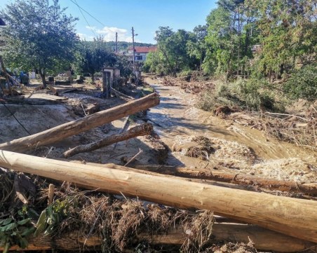 Забраняват сечта в Карловско