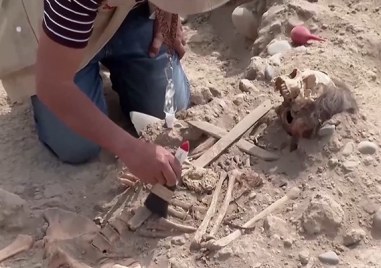 Археолози в Грузия откриха зъб на 1 8 милиона години който
