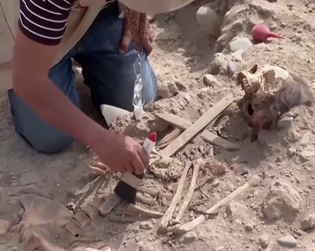 Неочаквана находка: Зъб на почти два милиона години изникна в Грузия