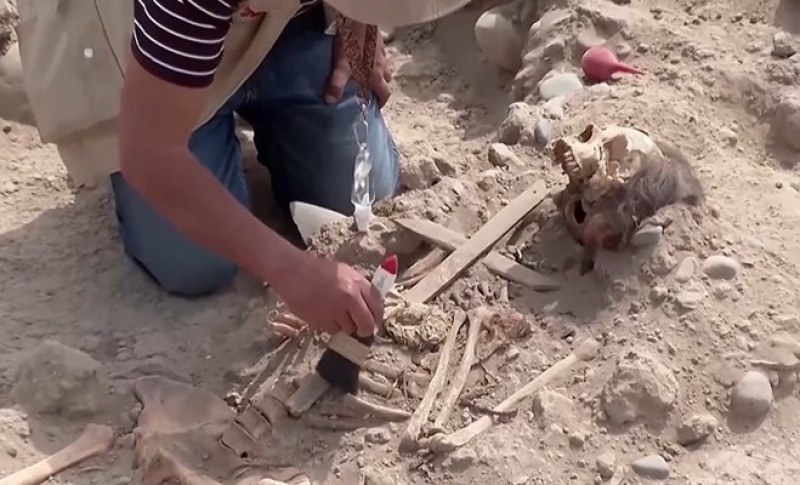 Археолози в Грузия откриха зъб на 1,8 милиона години, който