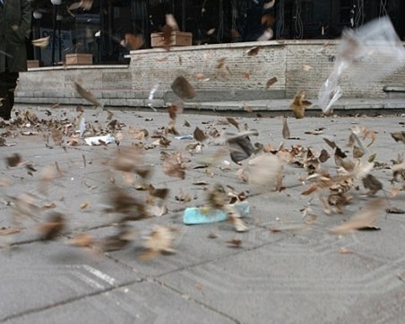 Жълт код за опасно време в Пловдив – очаква се бурен вятър