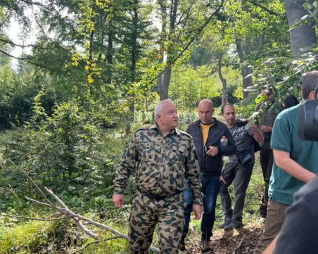 Нарушения при сечта в Карловско има, но не ясно дали са допринесли за бедствието