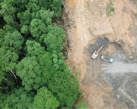 ЕП прие нови правила за ограничаване на обезлесяването в световен мащаб