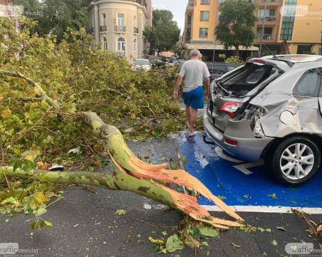 След бурята в Бургаско: 16-годишно момче е със счупена ключица, а жена с прорезни рани от дърво