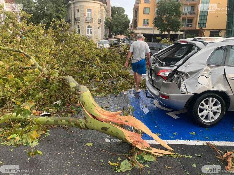 След бурята в Бургаско: 16-годишно момче е със счупена ключица, а жена с прорезни рани от дърво