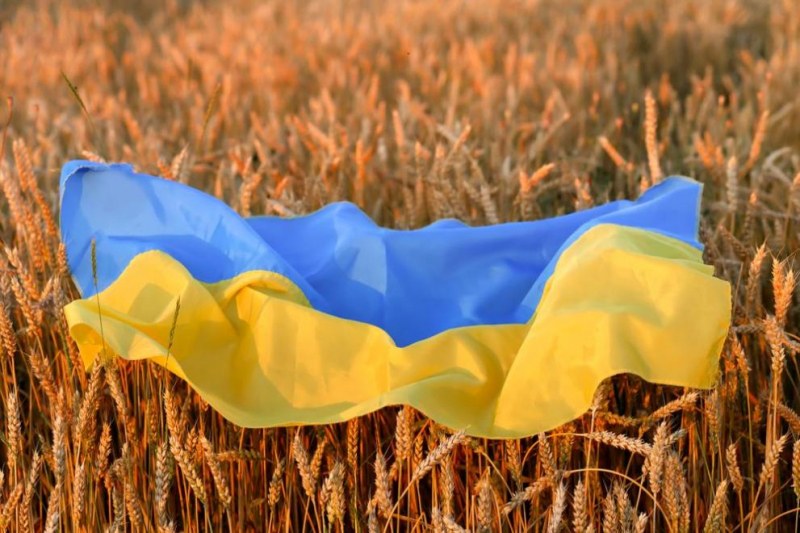 Зърнопроизводители блокират границата  заради безмитния внос на украинско зърно
