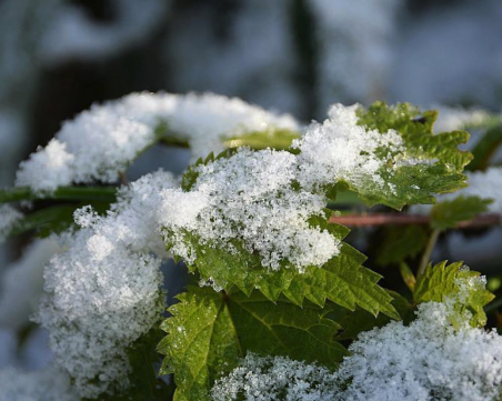 Минусови температури и първи сняг тази сутрин