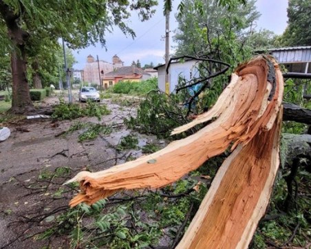 Тонове грозде са унищожени след бурята в Поморие
