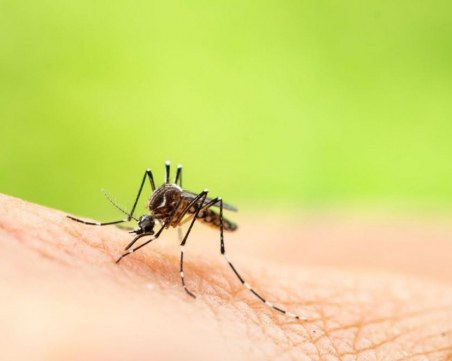 Все повече хора в болница в Турция, след ухапване от комари