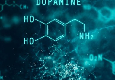 Допаминът представлява невротрансмитер, който участва в различни мозъчни функции - контролира