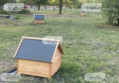 Дървени къщички за бездомни животни се появяват мистериозно на поляна
