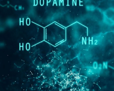 Дефицитът на допамин води до редица тежки заболявания