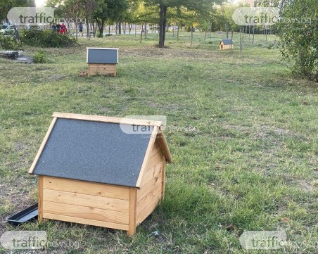 Мистерия в Тракия! Къщички за бездомни животни се появяват в района, стават все повече