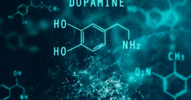 Дефицитът на допамин води до редица тежки заболявания