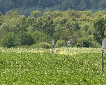 Министърът на земеделието открива конференция за интелигентно земеделие в Пловдив