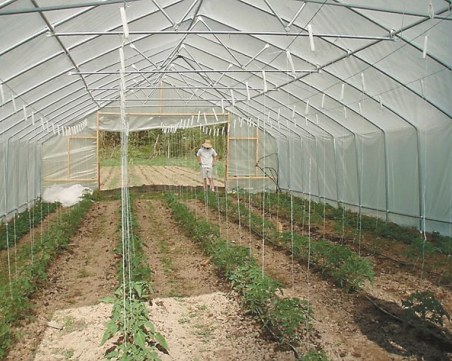 БАБХ отказа на пловдивска агроптека да търгува с препарат за растения, тя изпрати на съд шефа на агенцията