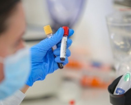 Проф. Нели Корсун: 