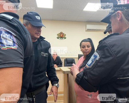 Оставиха в ареста майката на нахапаното дете от Пловдив