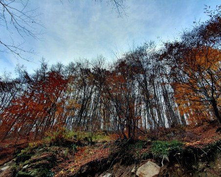 Откриха туриста, изчезнал в Стара планина