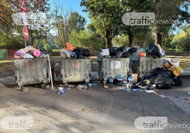Пловдивчани се натъкнаха на смърдяща гледка тази сутрин пред домовете