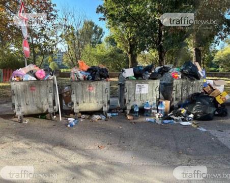 Вместо красива гледка: Препълнени контейнери на фона на Марица в Пловдив