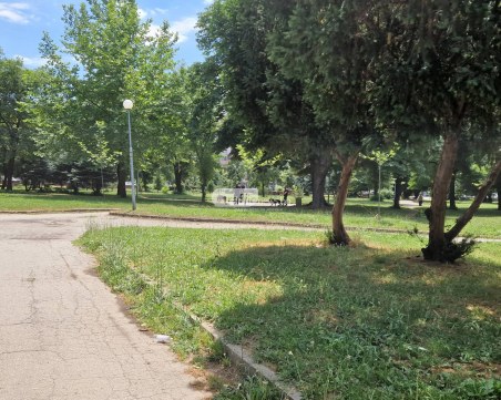 Организират крос 