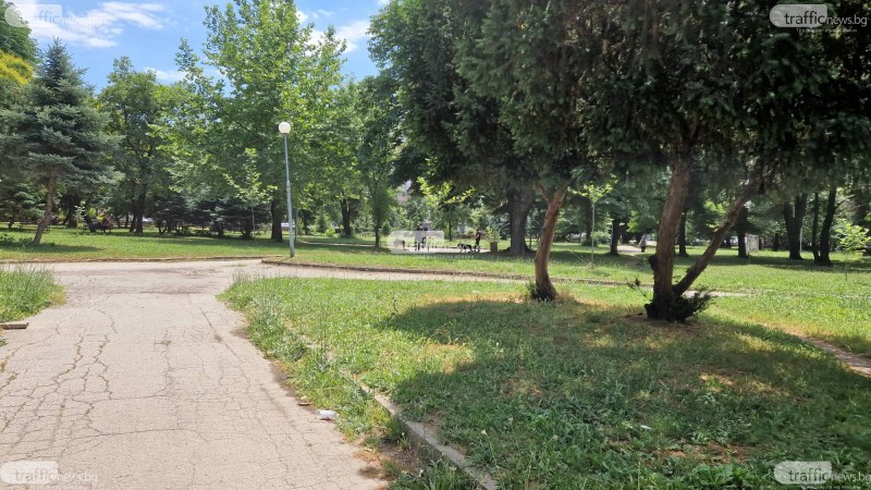 Организират крос