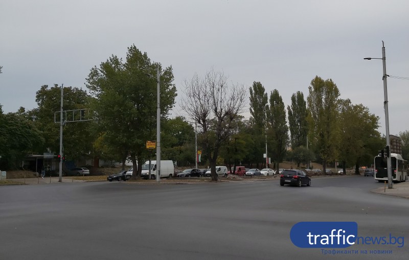 Експертна комисия решава за поредното изсъхнало дърво, надвесено над пешеходна пътека в Пловдив