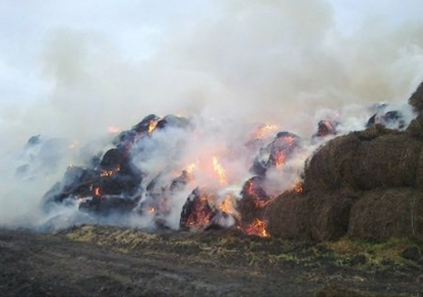 Над 100 бали люцерна са унищожени при пожар вчера в