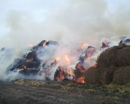 Психично болна запали над 100 бали люцерна край пловдивско село