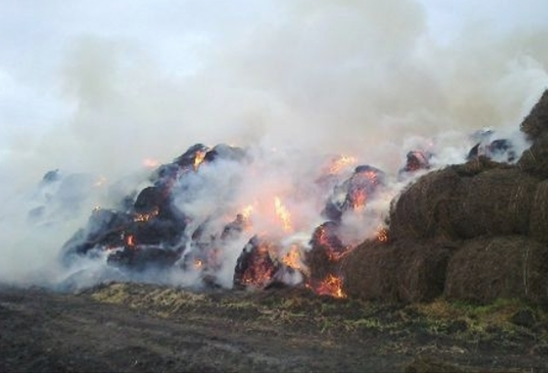 Над 100 бали люцерна са унищожени при пожар вчера в