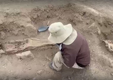 Перуански археолози откриха осем скелета в предполагаемо гробище от колониалната