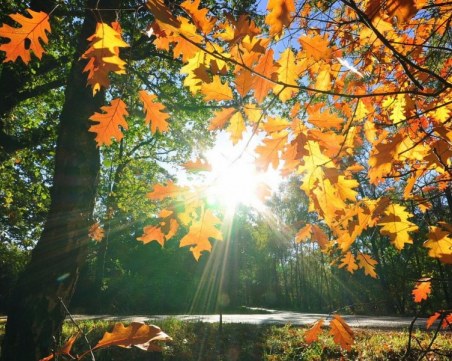 Очаква ни слънчева и топла неделя