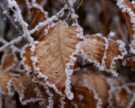 Сутринта слани, през деня слънце