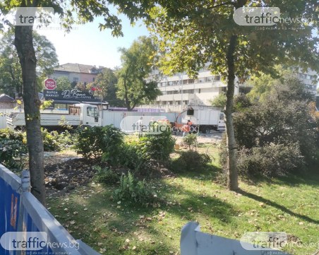 Започнаха да режат 60-те дърветата за пробива на Водната палата