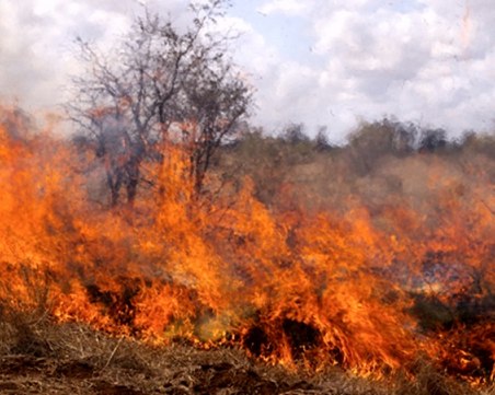 Пожар бушува между две ямболски села